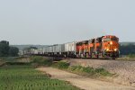 BNSF 3981